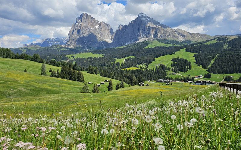 *NOTE: Field Staff Storyteller Submission; Check Payment for use if 1st year; payment may have been included; July 2016